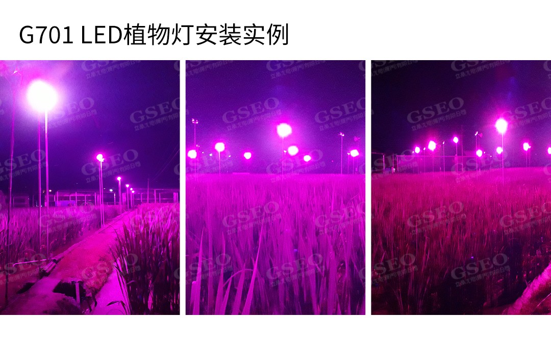 G075-LED茭白笋灯-3_07.jpg